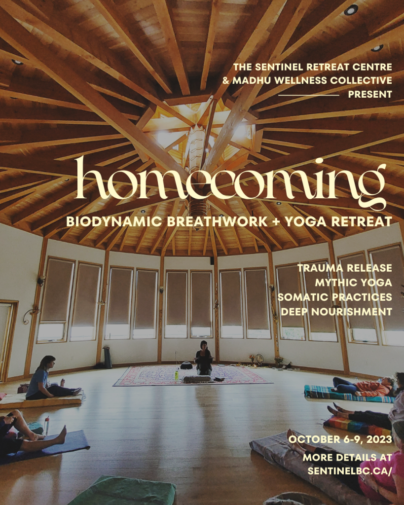 This image has an empty alt attribute; its file name is Homecoming-Option-2-819x1024.png